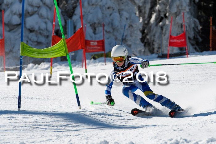 Ziener Cup WF, Finale, Quali + Parallelslalom, 24.03.2018
