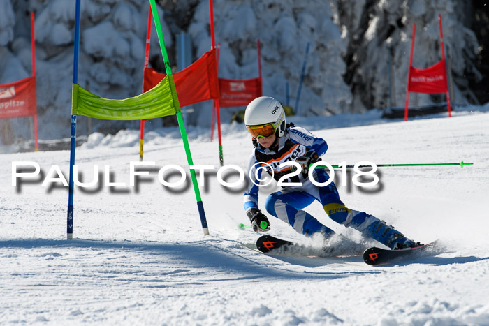 Ziener Cup WF, Finale, Quali + Parallelslalom, 24.03.2018