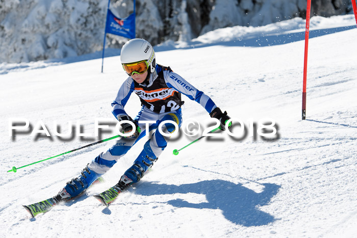 Ziener Cup WF, Finale, Quali + Parallelslalom, 24.03.2018