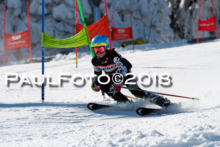 Ziener Cup WF, Finale, Quali + Parallelslalom, 24.03.2018