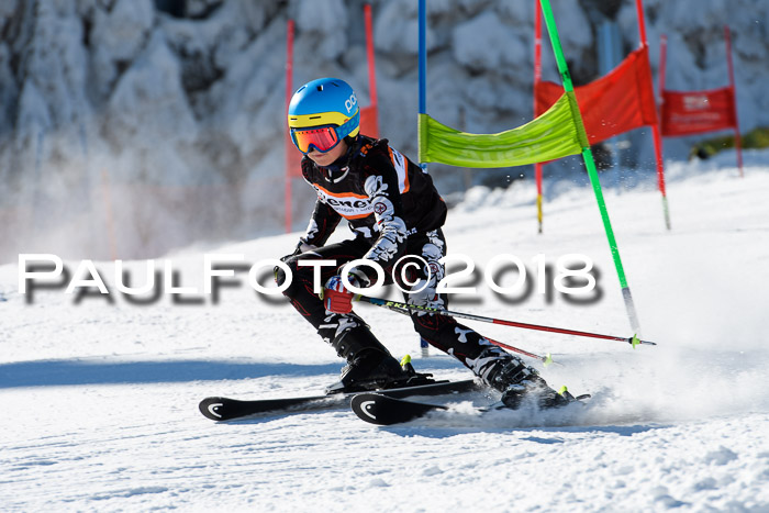 Ziener Cup WF, Finale, Quali + Parallelslalom, 24.03.2018