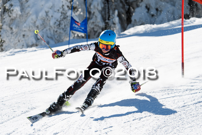 Ziener Cup WF, Finale, Quali + Parallelslalom, 24.03.2018