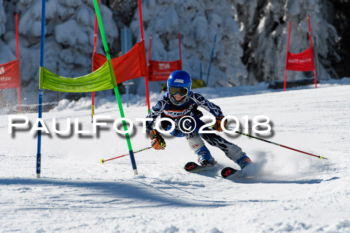 Ziener Cup WF, Finale, Quali + Parallelslalom, 24.03.2018