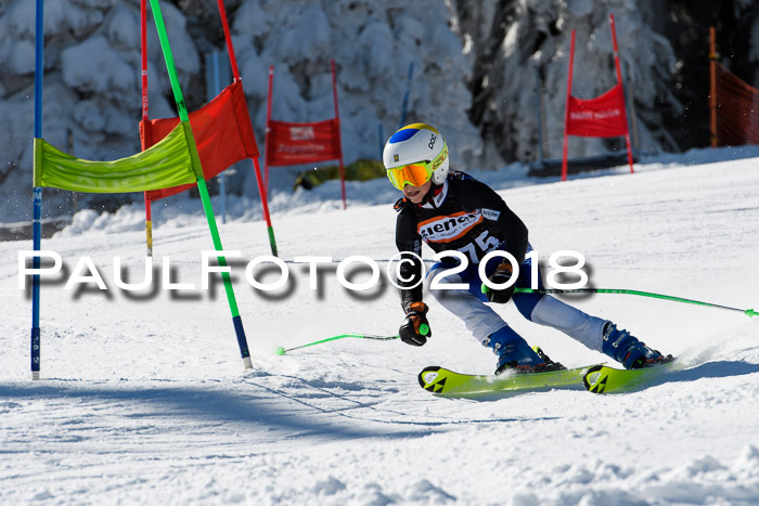 Ziener Cup WF, Finale, Quali + Parallelslalom, 24.03.2018