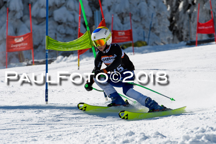 Ziener Cup WF, Finale, Quali + Parallelslalom, 24.03.2018