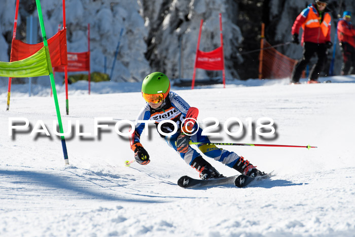 Ziener Cup WF, Finale, Quali + Parallelslalom, 24.03.2018