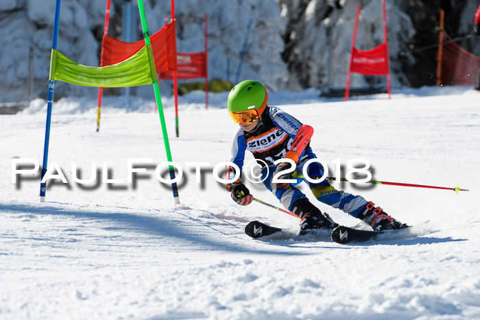 Ziener Cup WF, Finale, Quali + Parallelslalom, 24.03.2018