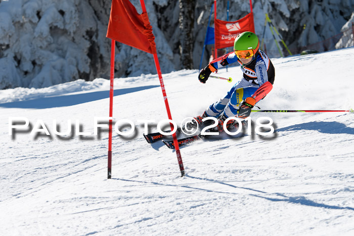 Ziener Cup WF, Finale, Quali + Parallelslalom, 24.03.2018