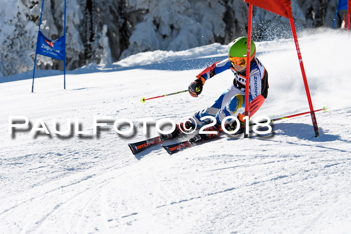 Ziener Cup WF, Finale, Quali + Parallelslalom, 24.03.2018