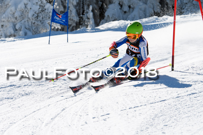 Ziener Cup WF, Finale, Quali + Parallelslalom, 24.03.2018