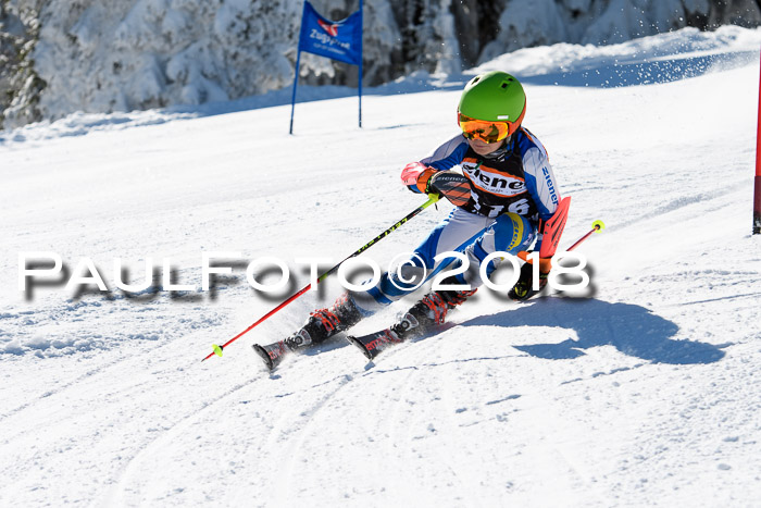 Ziener Cup WF, Finale, Quali + Parallelslalom, 24.03.2018