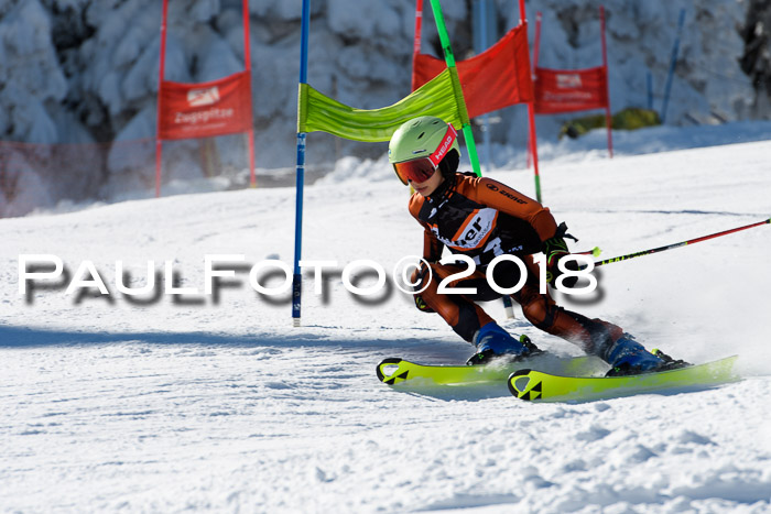 Ziener Cup WF, Finale, Quali + Parallelslalom, 24.03.2018