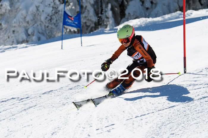 Ziener Cup WF, Finale, Quali + Parallelslalom, 24.03.2018