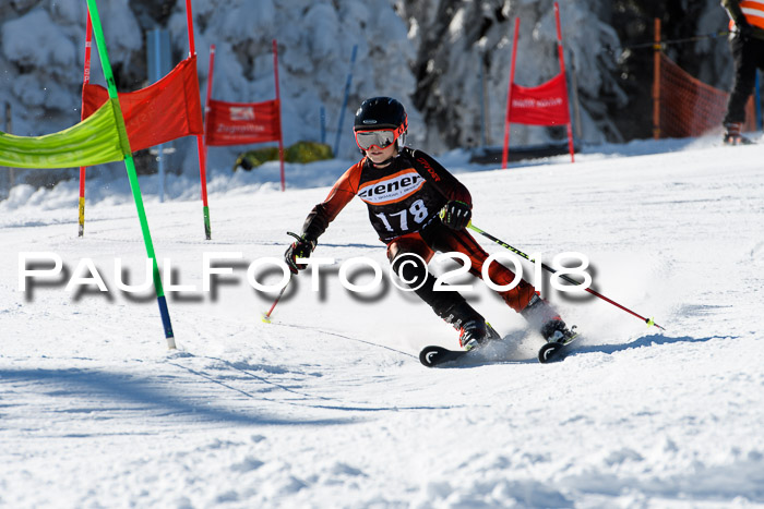 Ziener Cup WF, Finale, Quali + Parallelslalom, 24.03.2018