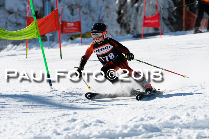 Ziener Cup WF, Finale, Quali + Parallelslalom, 24.03.2018