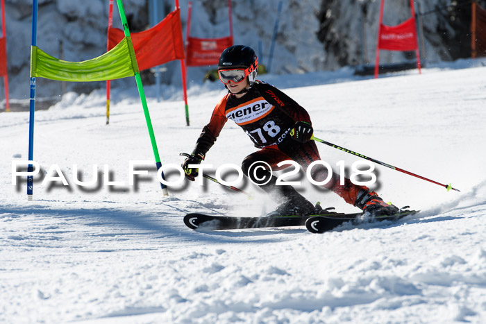 Ziener Cup WF, Finale, Quali + Parallelslalom, 24.03.2018