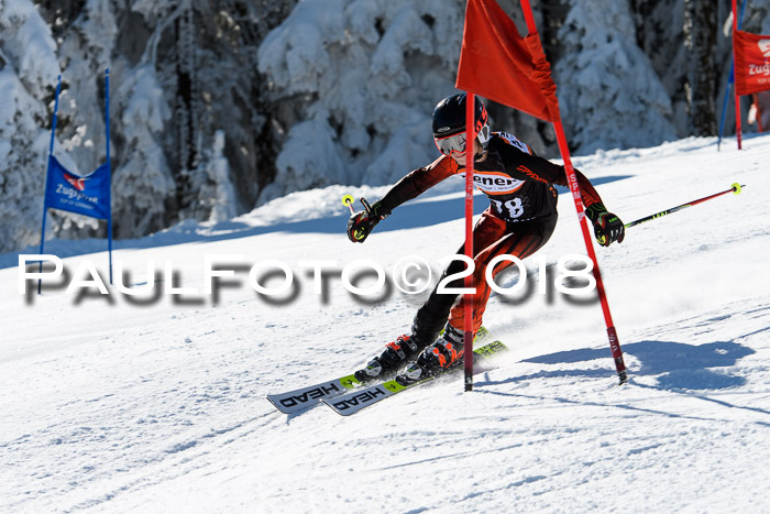 Ziener Cup WF, Finale, Quali + Parallelslalom, 24.03.2018