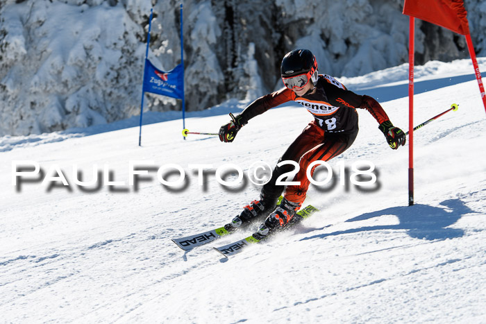 Ziener Cup WF, Finale, Quali + Parallelslalom, 24.03.2018