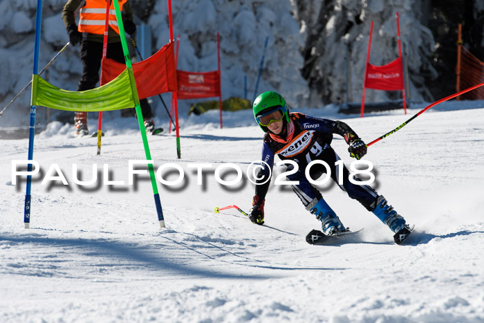 Ziener Cup WF, Finale, Quali + Parallelslalom, 24.03.2018