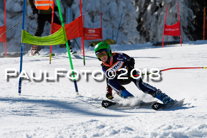 Ziener Cup WF, Finale, Quali + Parallelslalom, 24.03.2018