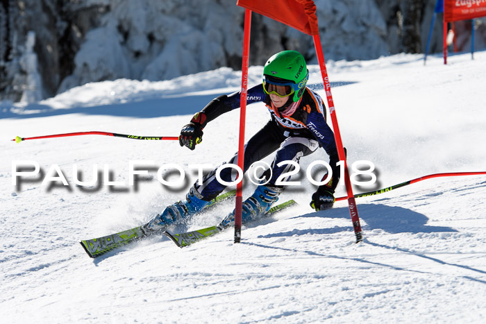 Ziener Cup WF, Finale, Quali + Parallelslalom, 24.03.2018