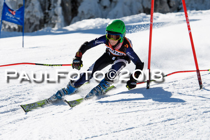Ziener Cup WF, Finale, Quali + Parallelslalom, 24.03.2018