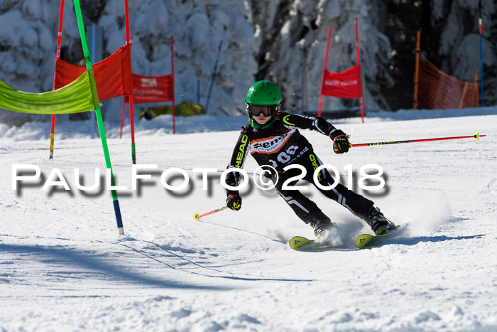 Ziener Cup WF, Finale, Quali + Parallelslalom, 24.03.2018