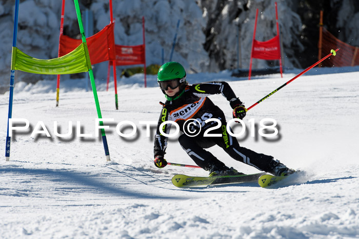 Ziener Cup WF, Finale, Quali + Parallelslalom, 24.03.2018