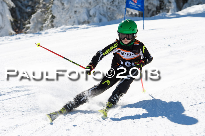 Ziener Cup WF, Finale, Quali + Parallelslalom, 24.03.2018
