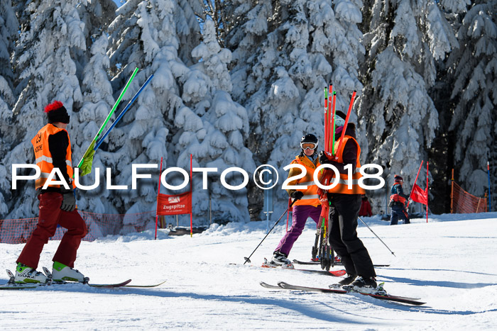 Ziener Cup WF, Finale, Quali + Parallelslalom, 24.03.2018