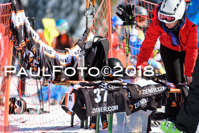 Ziener Cup WF, Finale, Quali + Parallelslalom, 24.03.2018