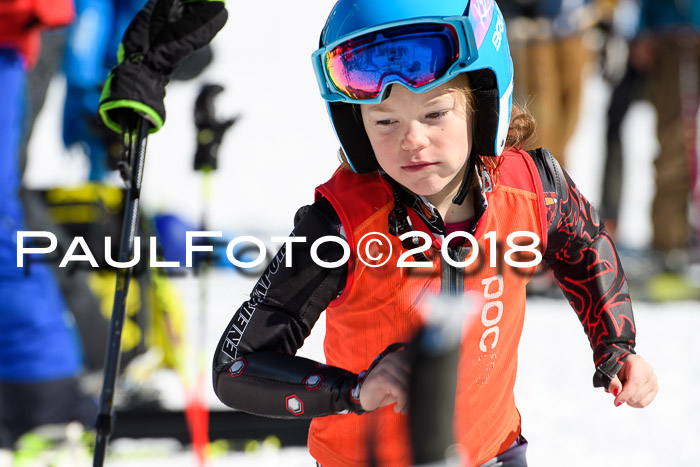 Ziener Cup WF, Finale, Quali + Parallelslalom, 24.03.2018