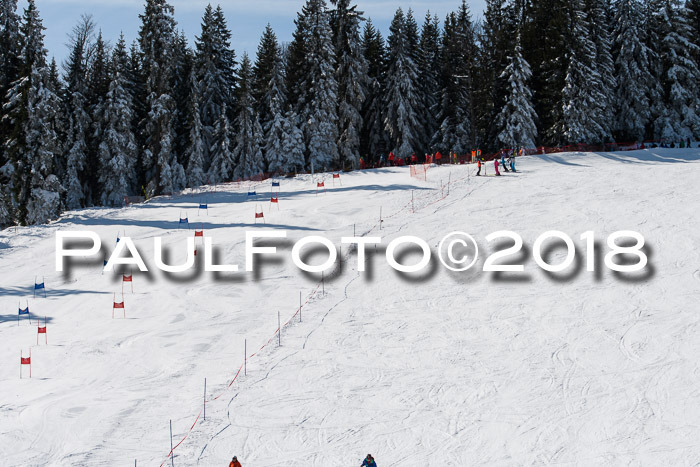 BZB Cuo Finale, Quali + Parallelslalom, 25.03.2018