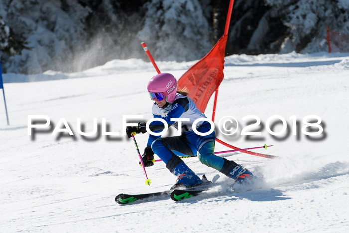 BZB Cuo Finale, Quali + Parallelslalom, 25.03.2018