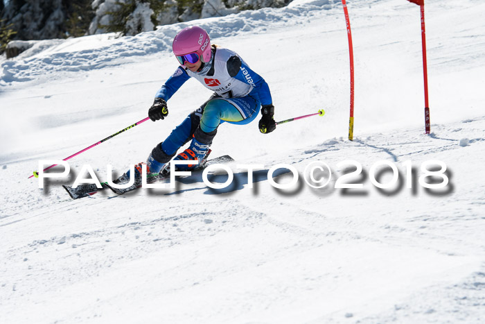 BZB Cuo Finale, Quali + Parallelslalom, 25.03.2018