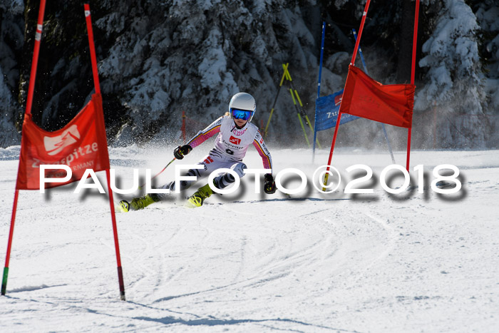 BZB Cuo Finale, Quali + Parallelslalom, 25.03.2018