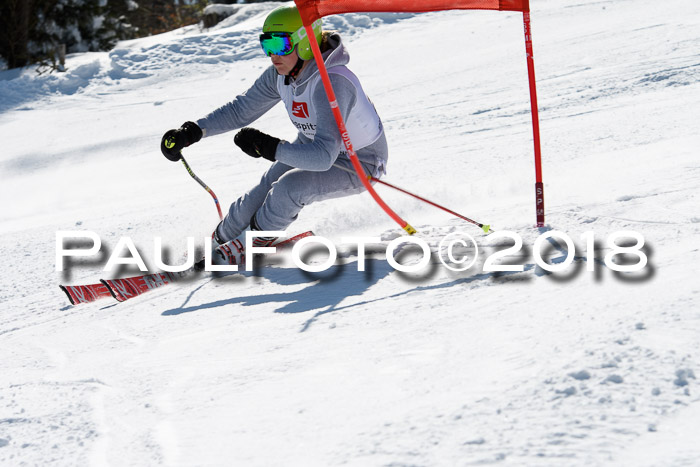 BZB Cuo Finale, Quali + Parallelslalom, 25.03.2018