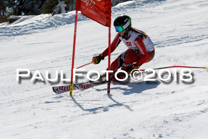 BZB Cuo Finale, Quali + Parallelslalom, 25.03.2018