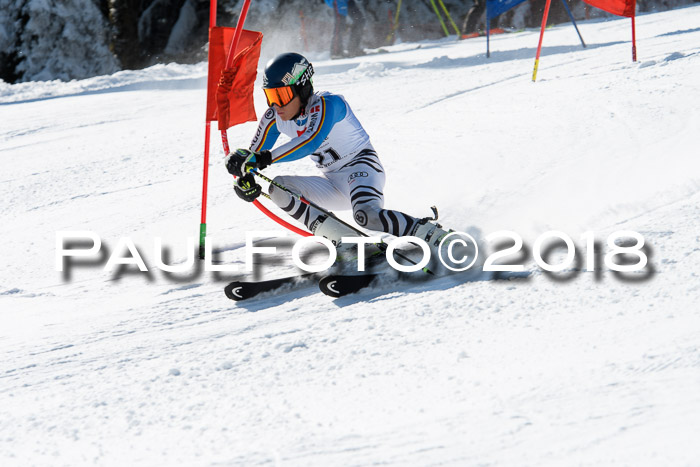 BZB Cuo Finale, Quali + Parallelslalom, 25.03.2018