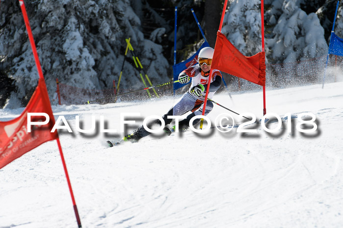 BZB Cuo Finale, Quali + Parallelslalom, 25.03.2018