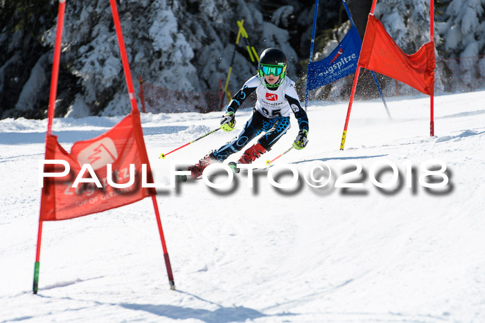BZB Cuo Finale, Quali + Parallelslalom, 25.03.2018