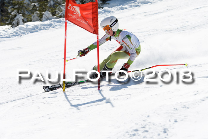 BZB Cuo Finale, Quali + Parallelslalom, 25.03.2018