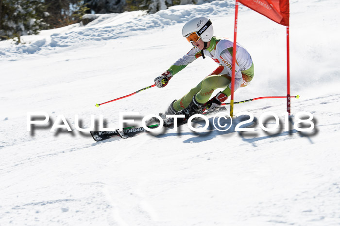 BZB Cuo Finale, Quali + Parallelslalom, 25.03.2018