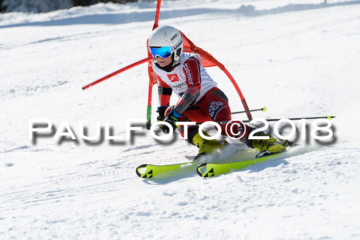 BZB Cuo Finale, Quali + Parallelslalom, 25.03.2018