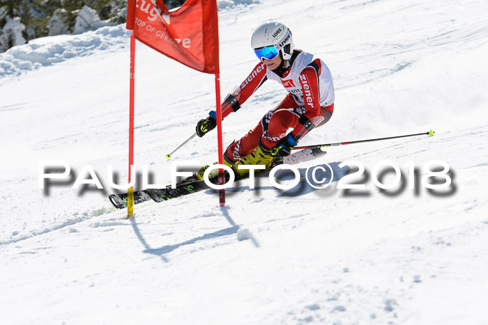BZB Cuo Finale, Quali + Parallelslalom, 25.03.2018