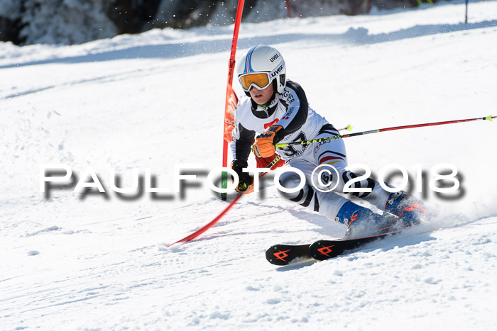 BZB Cuo Finale, Quali + Parallelslalom, 25.03.2018