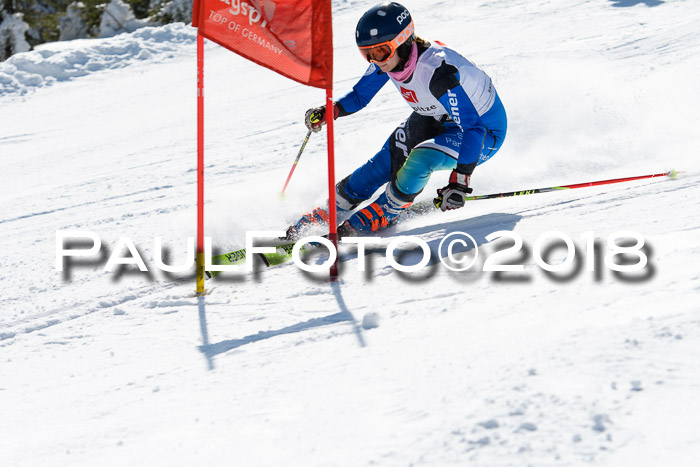 BZB Cuo Finale, Quali + Parallelslalom, 25.03.2018