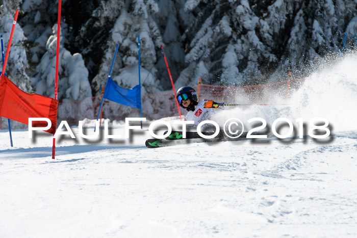 BZB Cuo Finale, Quali + Parallelslalom, 25.03.2018