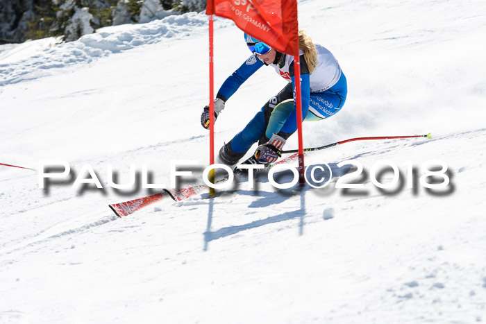 BZB Cuo Finale, Quali + Parallelslalom, 25.03.2018