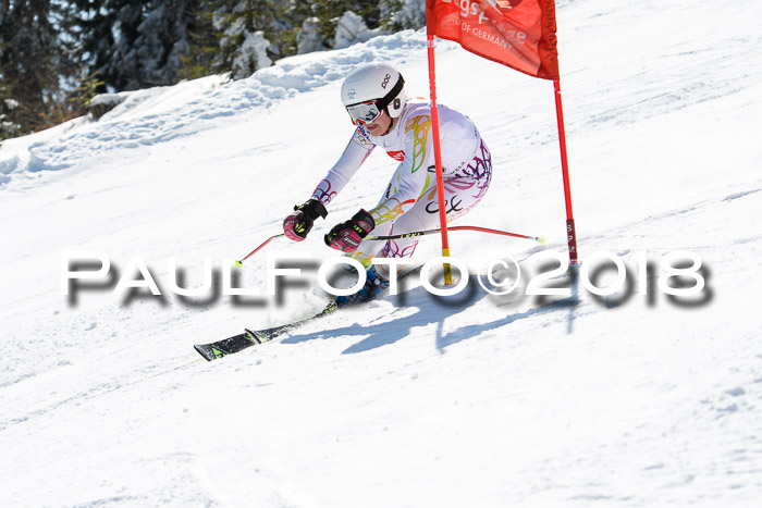 BZB Cuo Finale, Quali + Parallelslalom, 25.03.2018